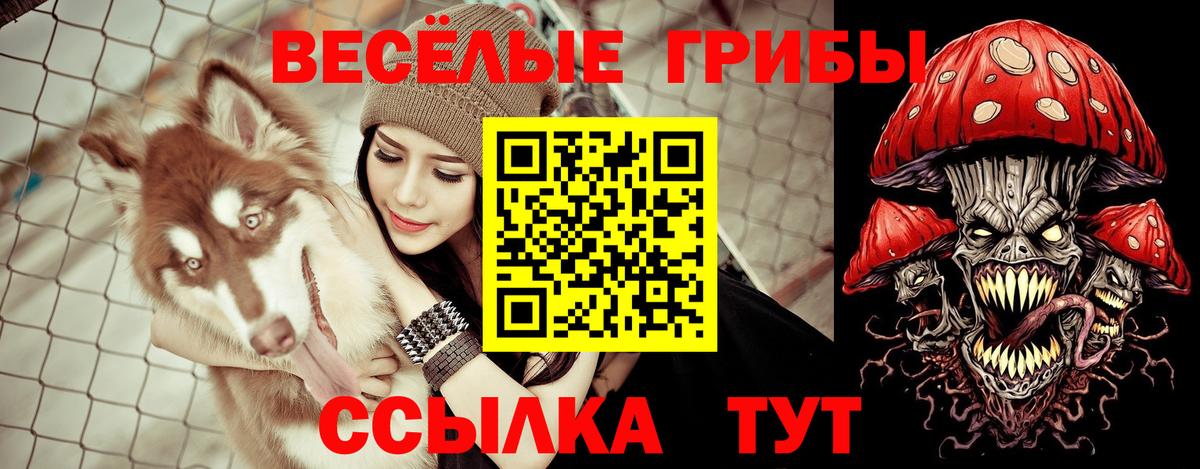 Галлюциногенные грибы MAGIC MUSHROOMS  Галлюциногенные грибы GOLDEN TEACHER  Вход с VPN  наркота  Владикавказ 