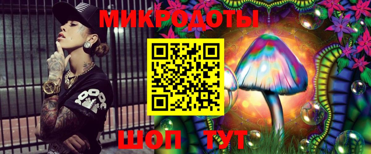 Галлюциногенные грибы Psilocybine cubensis Владикавказ